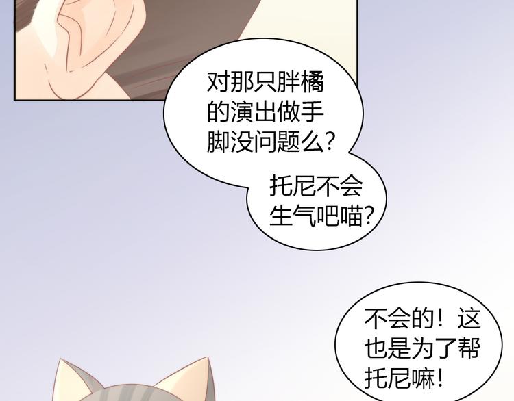 第79话 一只猫的战争(1/2)-第80话
