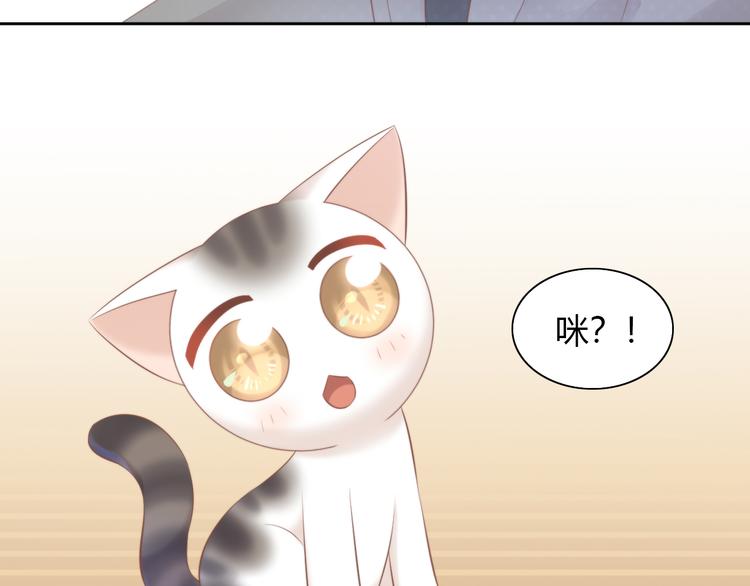 第85话 新伙伴？！(1/2)-第86话