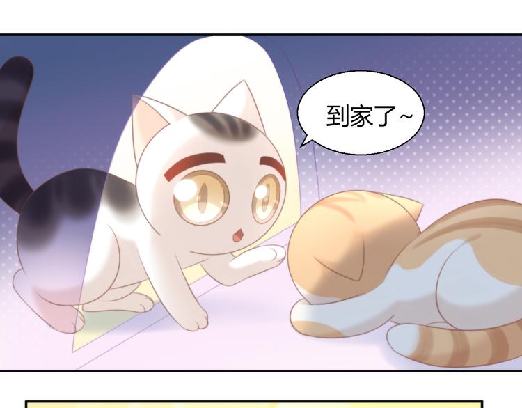 第85话 新伙伴？！(1/2)-第86话