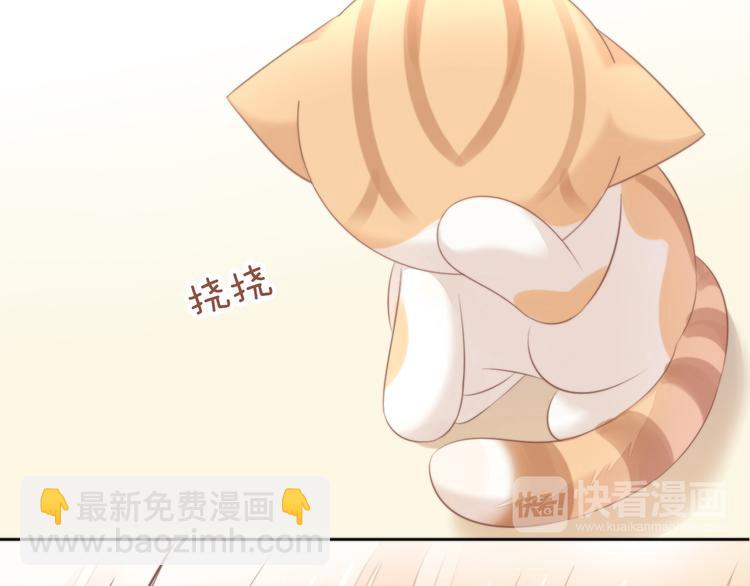 第85话 新伙伴？！(1/2)-第86话
