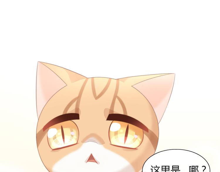 第85话 新伙伴？！(1/2)-第86话
