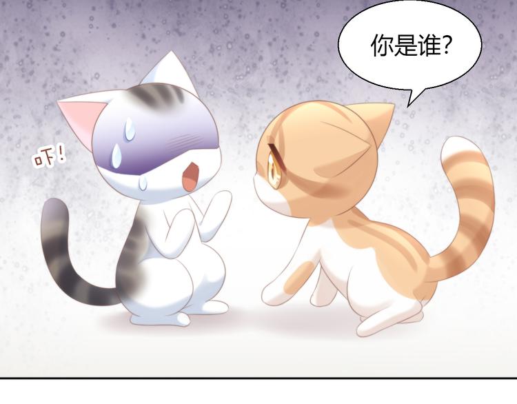 第85话 新伙伴？！(1/2)-第86话