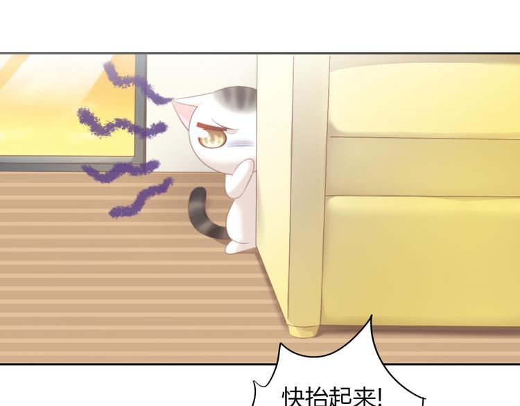 第85话 新伙伴？！(1/2)-第86话
