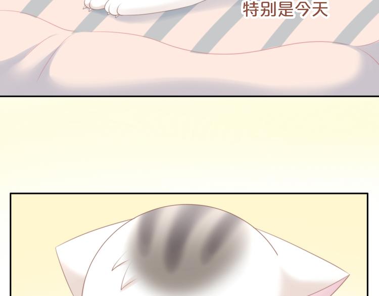 第85话 新伙伴？！(1/2)-第86话
