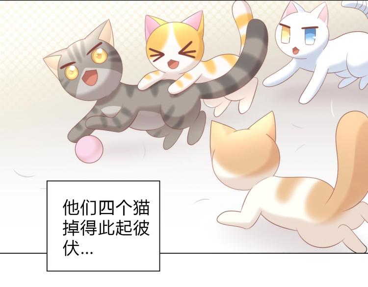 第93话 撸猫快乐成仙！(1/2)-第94话