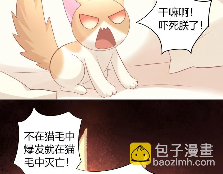 第93话 撸猫快乐成仙！(1/2)-第94话