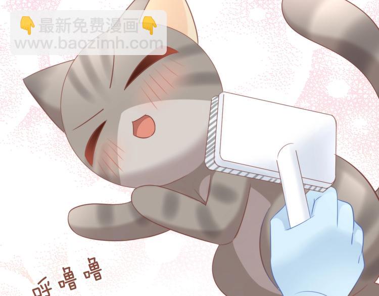 第93话 撸猫快乐成仙！(1/2)-第94话
