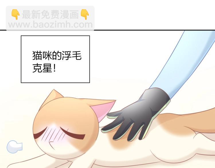 第93话 撸猫快乐成仙！(1/2)-第94话