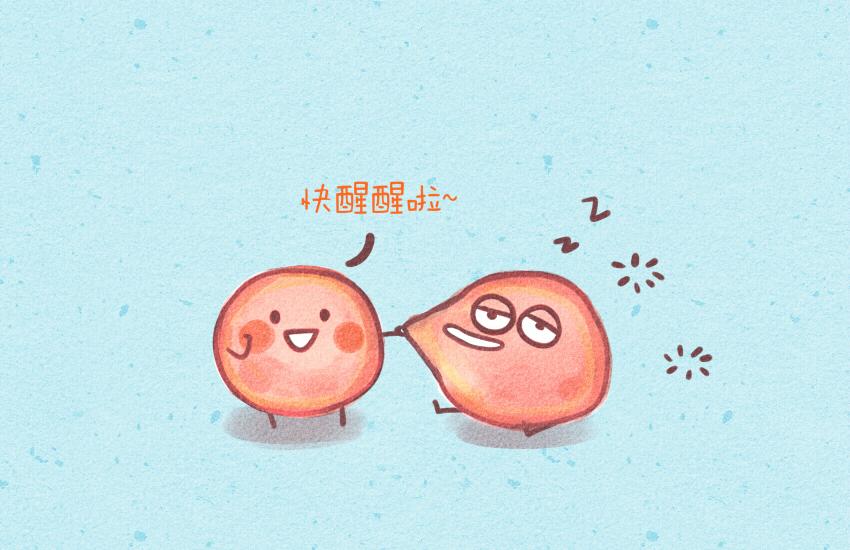 028 馒头火腿饵块-第28话