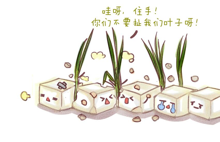 034 面团 豆腐-第34话
