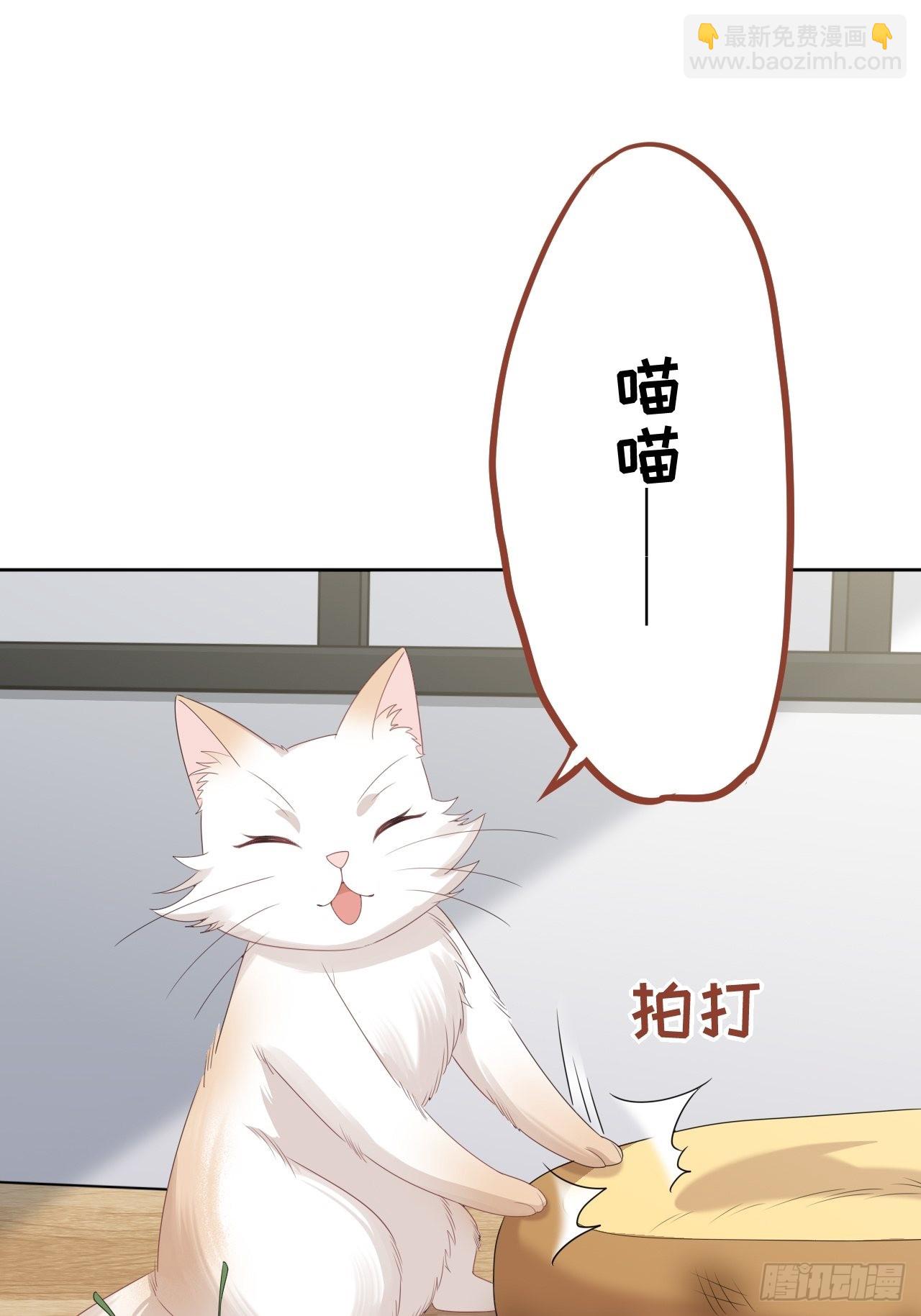 第45话：蝉妖知知（六）-第48话