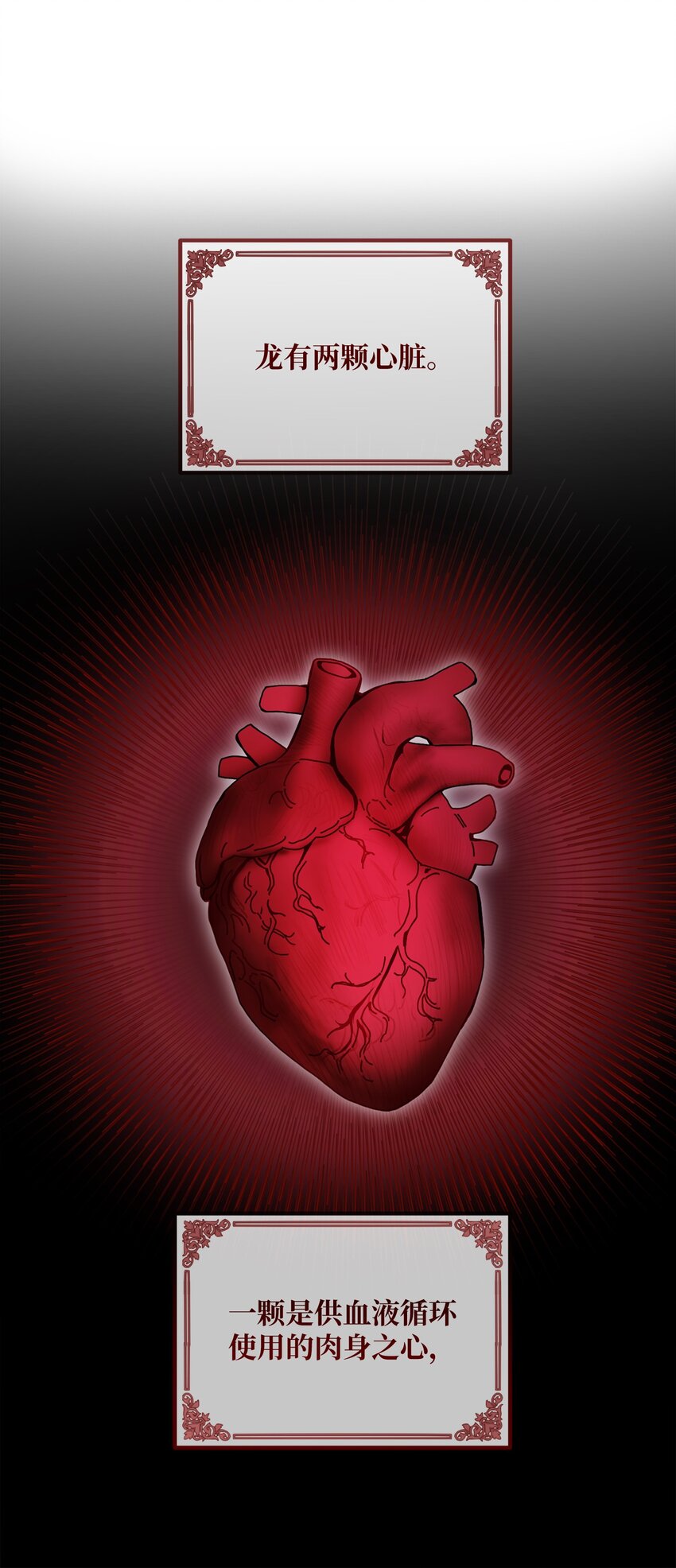 012 第二张牌(1/2)-第12话