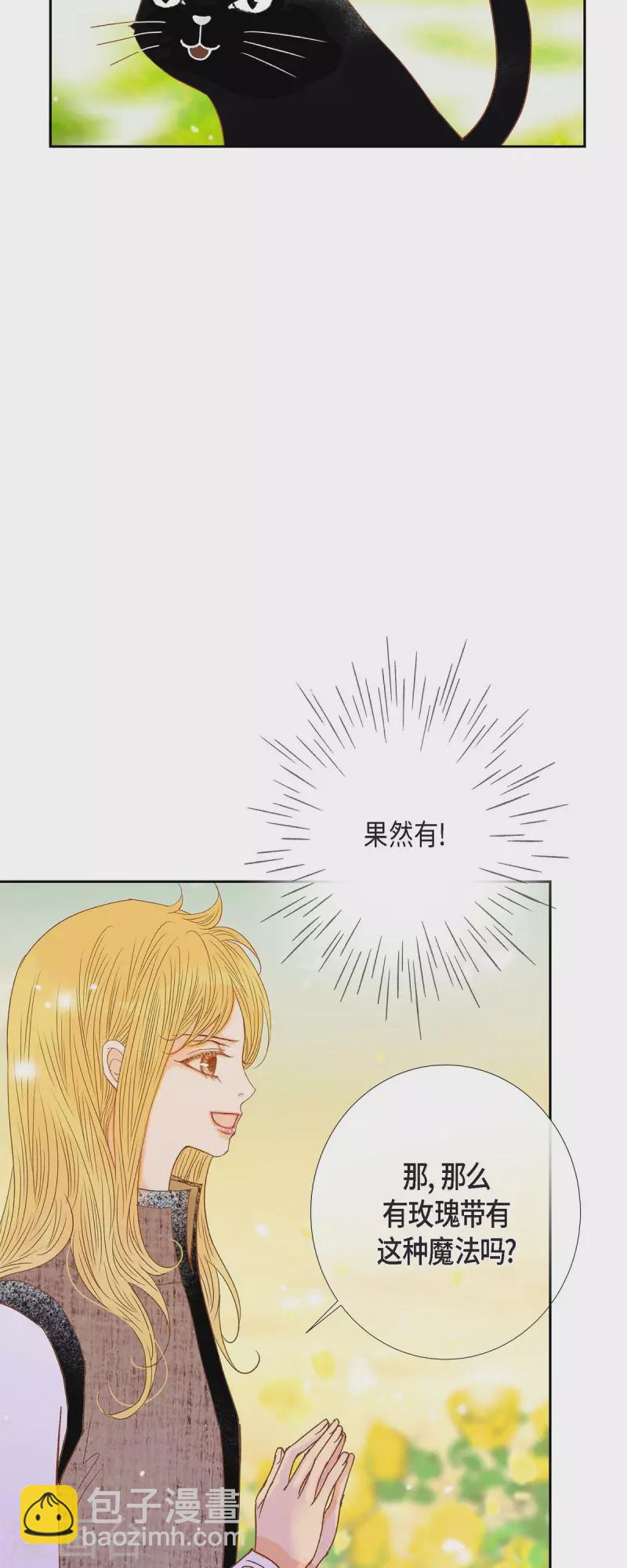 第32话 狮子王的魔法师(1/2)-第32话