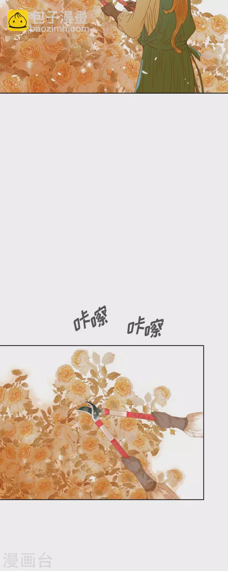 第8话 魔法师的玫瑰(1/2)-第8话
