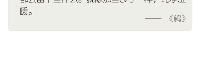 🍟每日片语 回眸平凡的日子 第3页