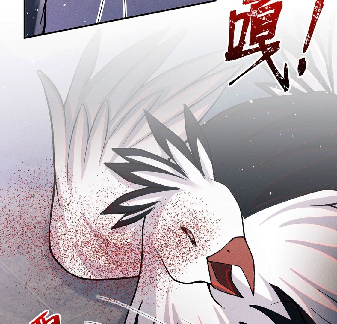 第67话多人转单人battle(1/2)-第68话