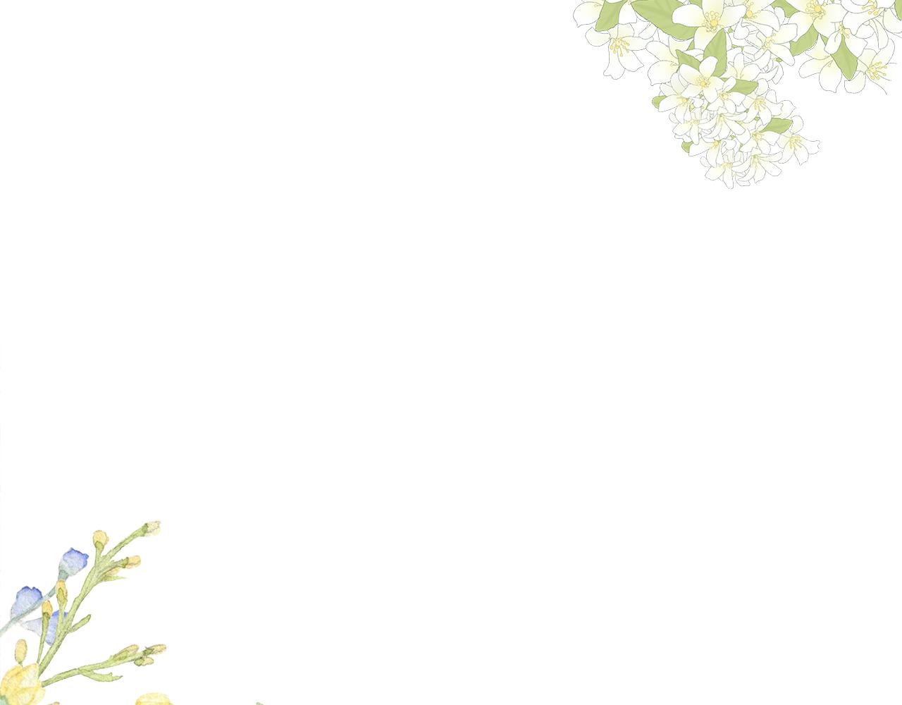第41话 主动(1/6)-第42话