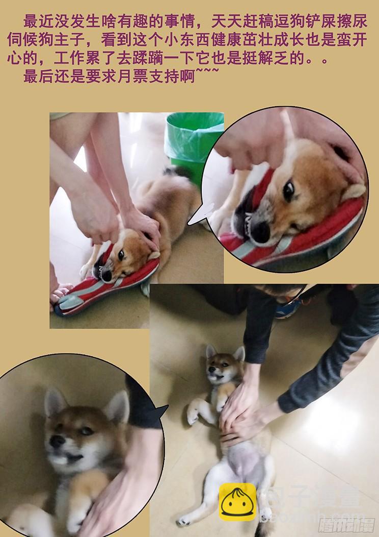 🍟妹子与科学 185 致命伤 第15页