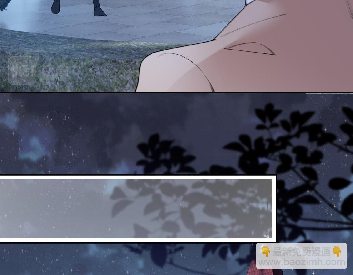 第二百三十一话 选举前的黑暗(1/3)-第236话