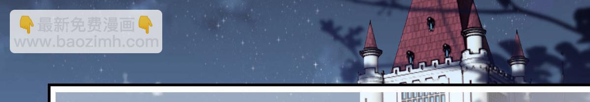 第二百三十一话 选举前的黑暗(1/3)-第236话