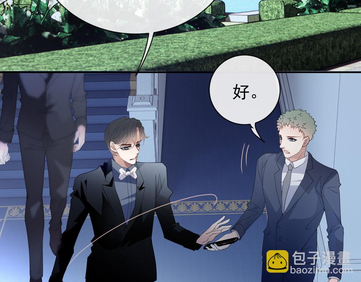 第二百三十一话 选举前的黑暗(1/3)-第236话