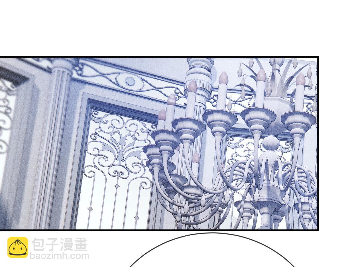 第二百三十一话 选举前的黑暗(1/3)-第236话