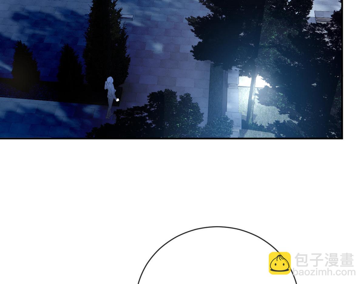 第二百三十一话 选举前的黑暗(1/3)-第236话