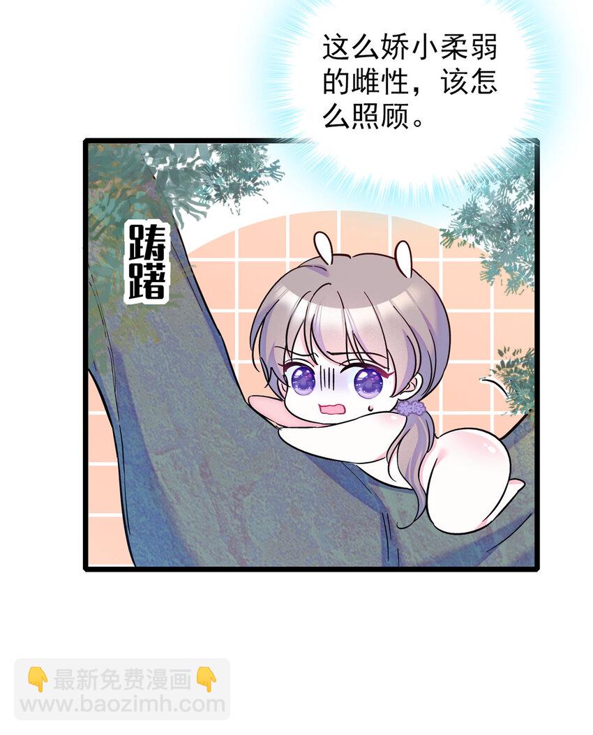 03 这是，动物世界？-第2话