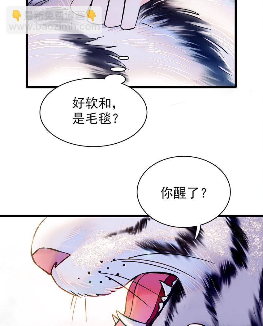 03 这是，动物世界？-第2话