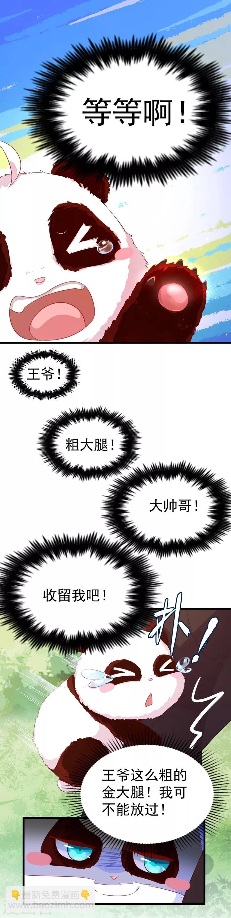 第3话 想做熊猫的铲屎官吗？-第4话