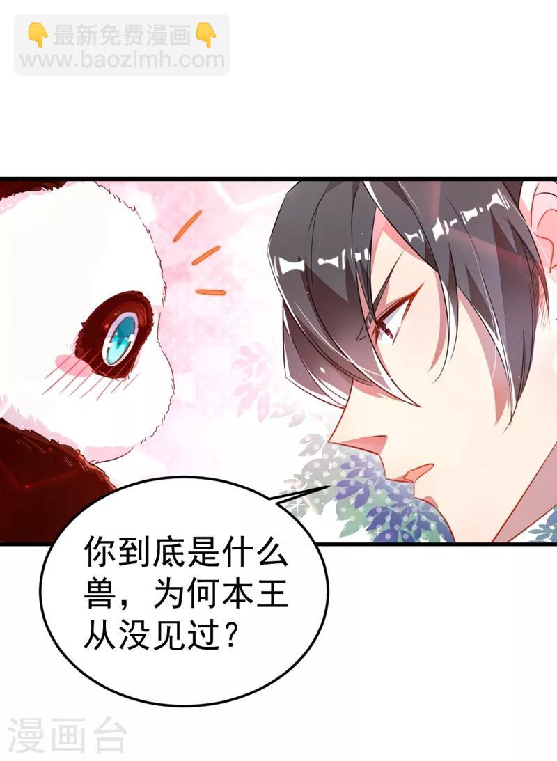第3话 想做熊猫的铲屎官吗？-第4话