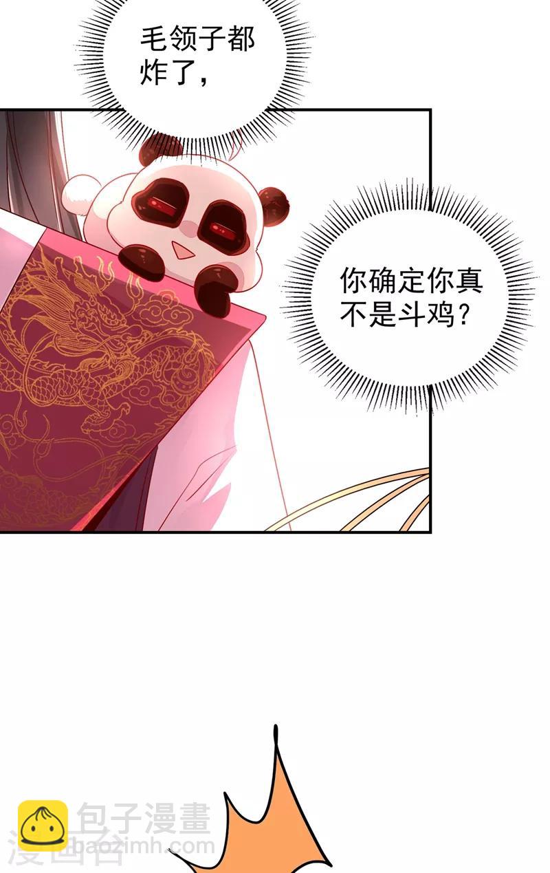 第37话 会八国语言的网红孔雀(1/2)-第38话