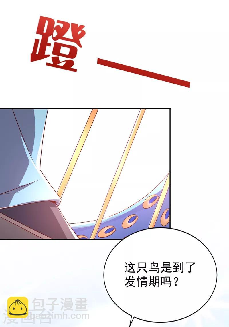 第37话 会八国语言的网红孔雀(1/2)-第38话