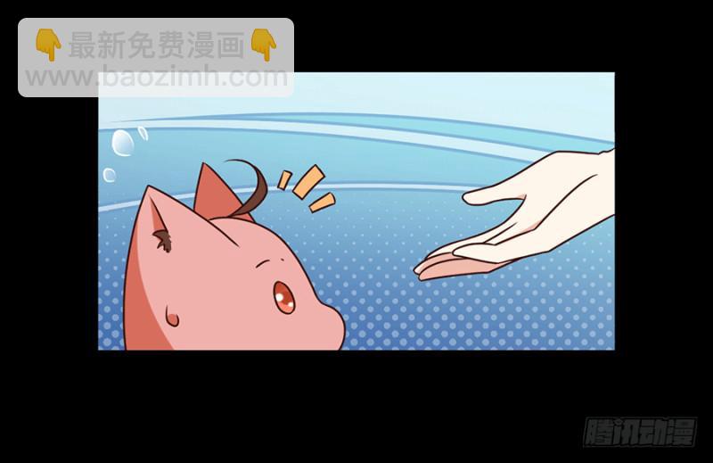 🍟萌师在上 第48话 背锅的同心蚌 第5页
