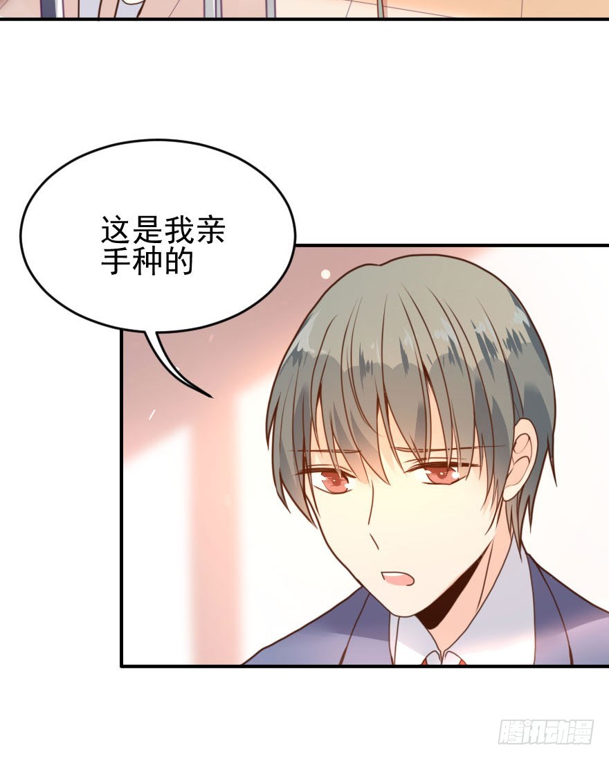 大脸花妖（九）各自的表白(1/2)-第14话