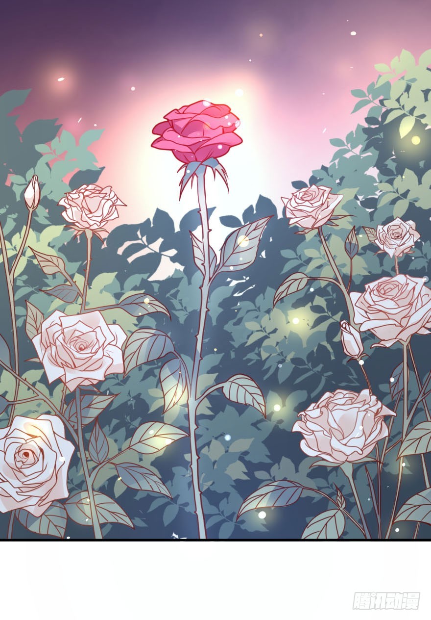 大脸花妖（九）各自的表白(1/2)-第14话