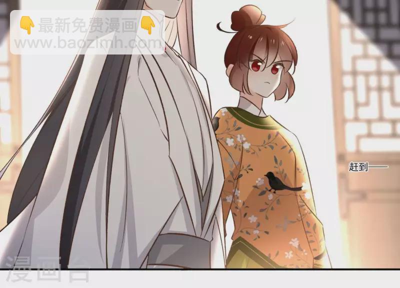 第164话 偷袭(1/2)-第164话