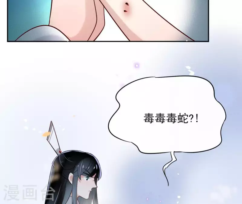 第6话 毒蛇(1/2)-第6话