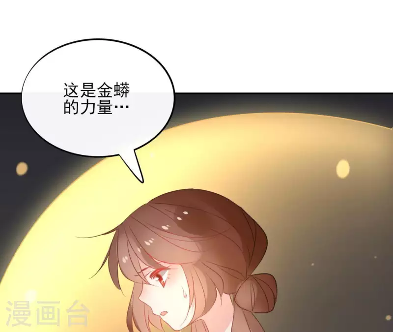 第52话 传承(1/2)-第52话