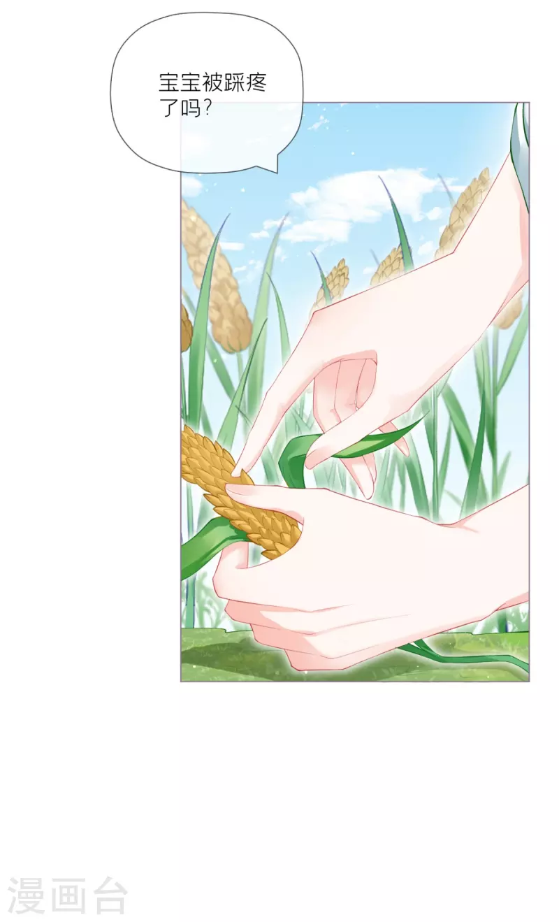第33话 喜得未婚夫(1/2)-第36话