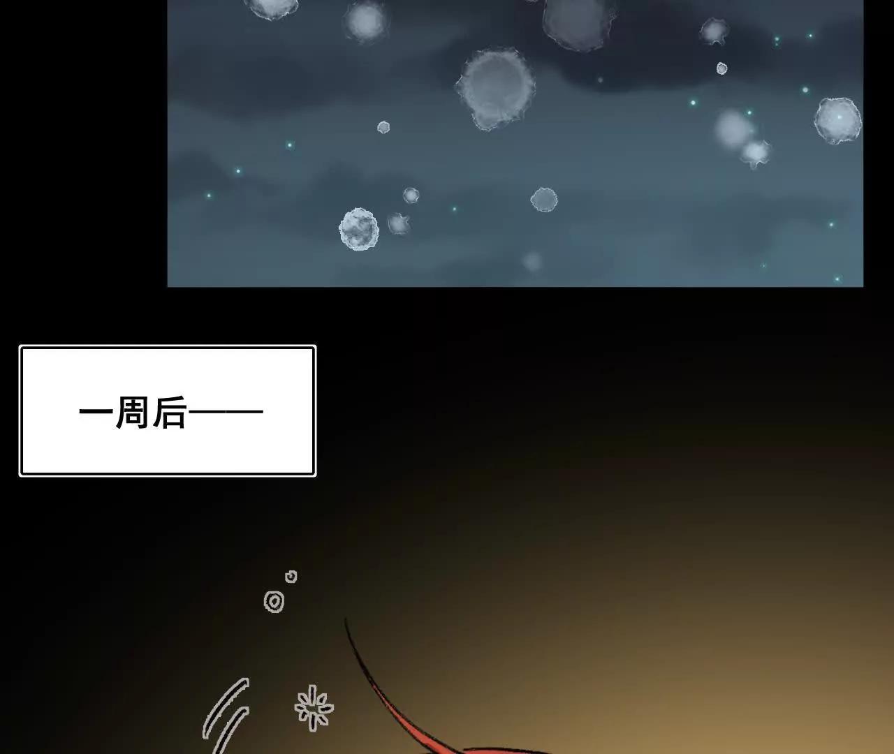 来自南部的和平鸽(1/2)-第26话