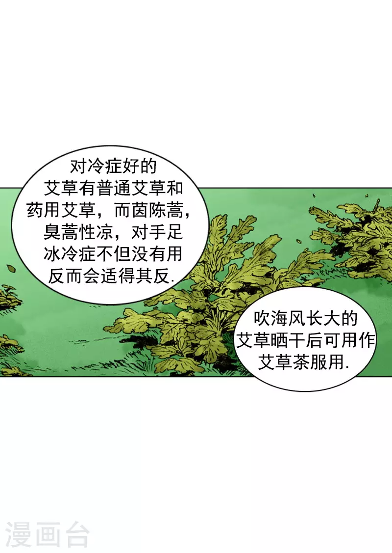 第225话 艾草的作用-第228话
