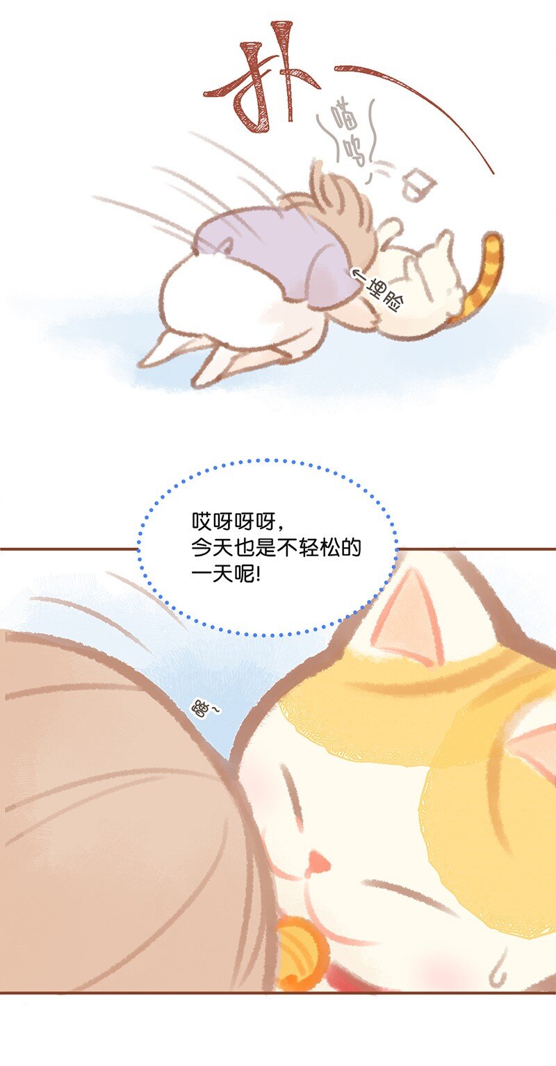 01 谁还不是个高管喵了？-第2话