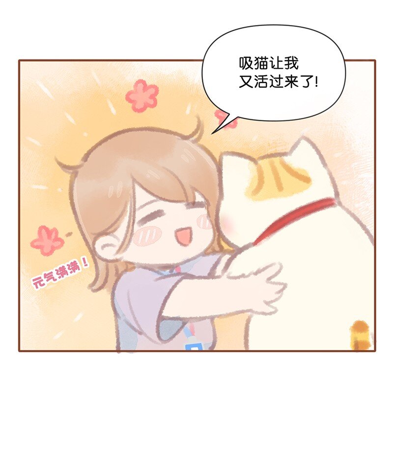 01 谁还不是个高管喵了？-第2话