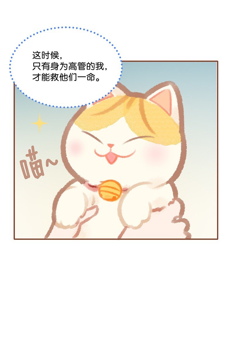 01 谁还不是个高管喵了？-第2话