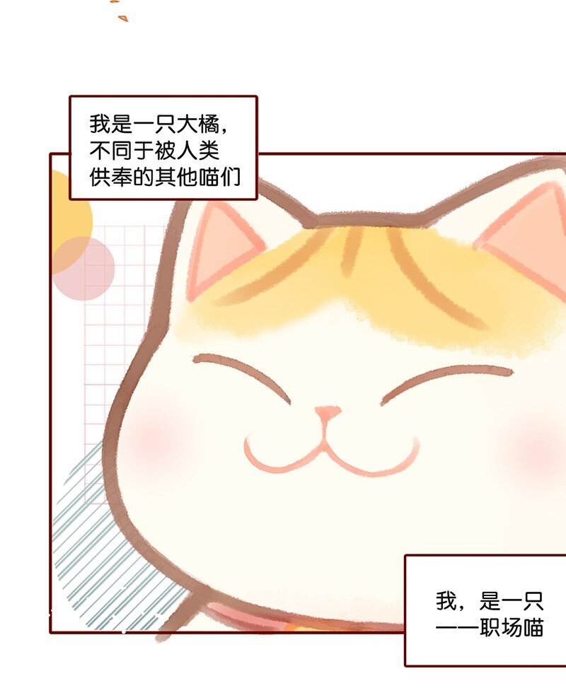 01 谁还不是个高管喵了？-第2话