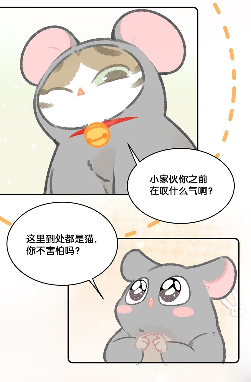 19 它好特别！我好喜欢！-第20话