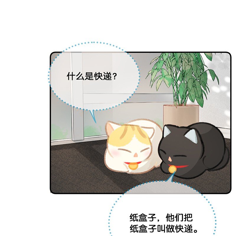 20 神秘的十一和十二月-第22话