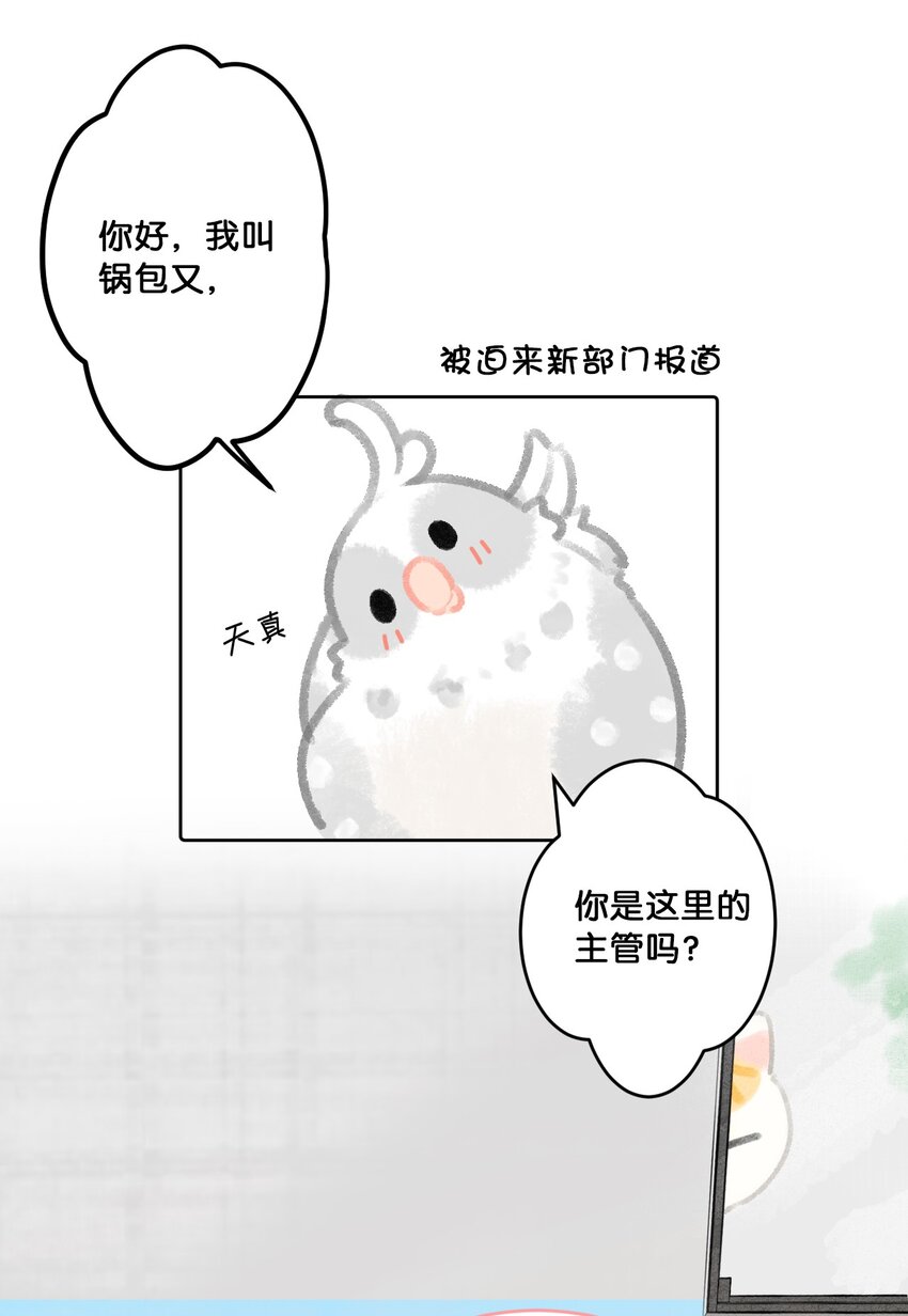 24 新员工在橘总头上拉屎？！-第26话