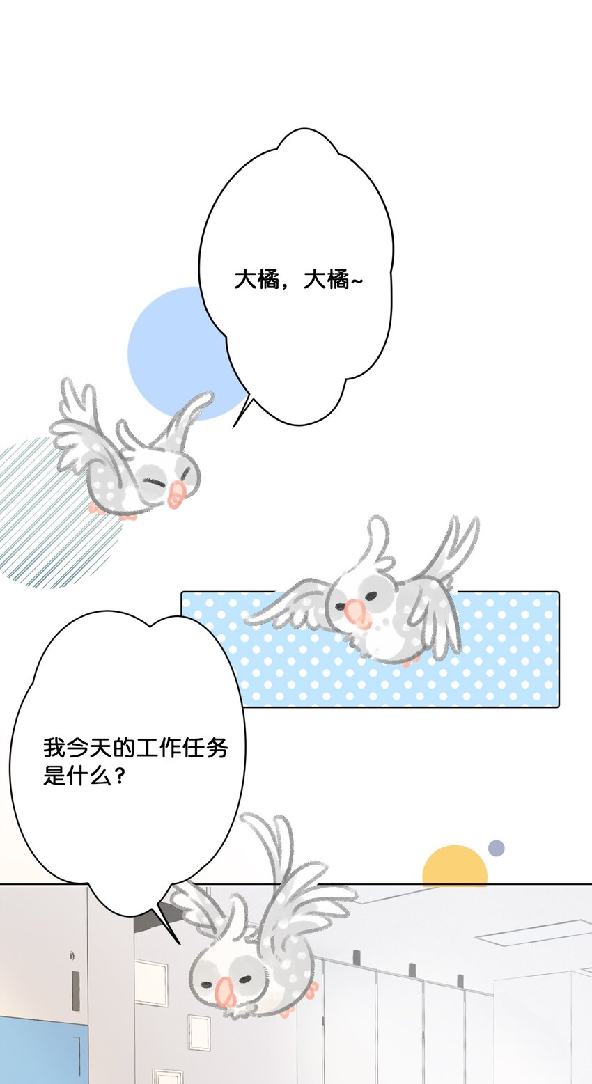 24 新员工在橘总头上拉屎？！-第26话